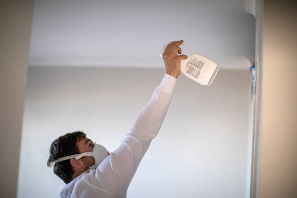 Best Mold Testing and Inspection Services in Cloverleaf, TX